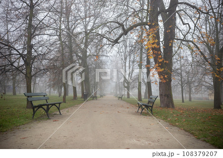 A walking path through a tranquil park - misty autumn background A walking path through a tranquil park - misty autumn background 108379207