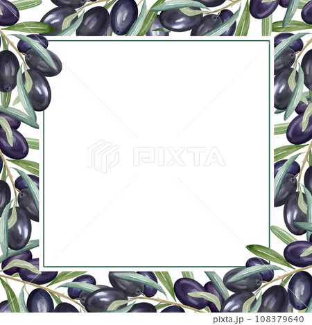 watercolor frame with branch of black olives...のイラスト素材 [108379640] - PIXTA