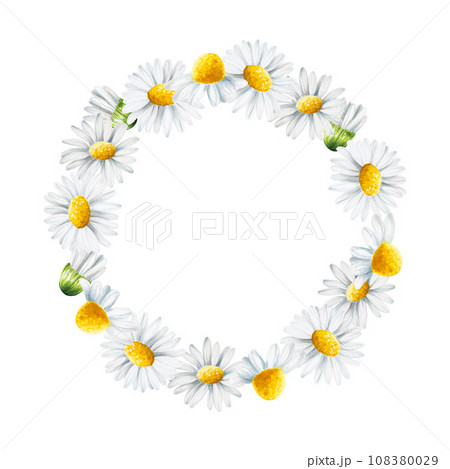 Watercolor white daisy flowers frame, logo and template isolated. Chamomile. Beauty products and botany set, cosmetology and medicine. For designers, spa decoration, postcards, wrapping paper, 108380029