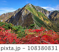 秋の空木岳 108380831