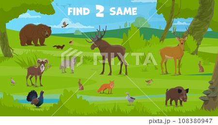 Find two same forest hunting animals on kids game worksheet, vector puzzle quiz. Wild bear, wolf and elk with deer, fox, hare and boar on hunt puzzle quiz to find two same objects on riddle game Find two same forest hunting animals on kids game worksheet, vector puzzle quiz. Wild bear, wolf and elk with deer, fox, hare and boar on hunt puzzle quiz to find two same objects on riddle game 108380947