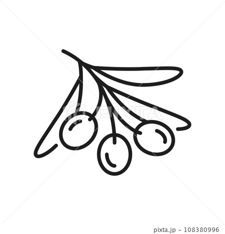 Olive berry with leaves on branch isolated natural food thin line icon. Vector semi-ripe European olive, veggies, extra virgin oil ingredient, leaf and fruit Olive berry with leaves on branch isolated natural food thin line icon. Vector semi-ripe European olive, veggies, extra virgin oil ingredient, leaf and fruit 108380996