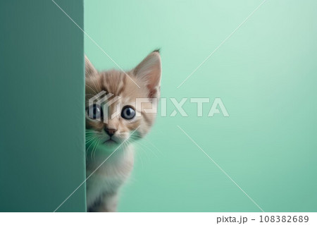 Adorable cute kitten. Relax face hair. Generate Ai Adorable cute kitten. Relax face hair. Generate Ai 108382689