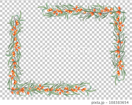 Rectangle frame with Sea buckthorn branches. Sandthorn, sallowthorn. Orange berries, green leaves. Watercolor illustration for postcard, invitation template, birthday, package, cosmetic design Rectangle frame with Sea buckthorn branches. Sandthorn, sallowthorn. Orange berries, green leaves. Watercolor illustration for postcard, invitation template, birthday, package, cosmetic design 108383654