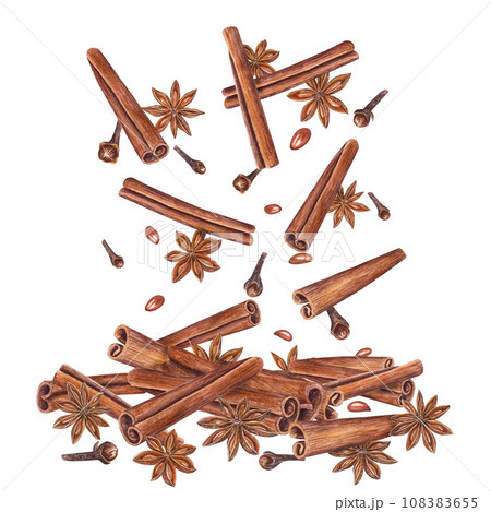 Cinnamons sticks, star anise, dried cloves. Badian, seeds. Winter aromatic spices for hot drinks and Xmas baking. Botanical watercolor illustration for package design, label, logo 108383655