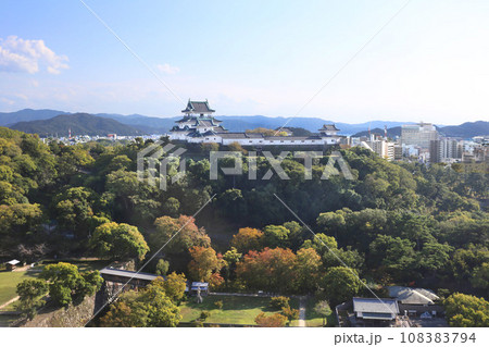 和歌山城 和歌山市 和歌山市役所食堂から撮影 和歌山城 和歌山市 和歌山市役所食堂から撮影 108383794