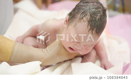 生後0日の新生児 生後0日の新生児 108384043