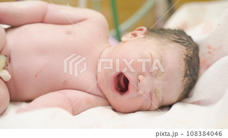 生後0日の新生児 生後0日の新生児 108384046