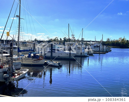 boats in a marina boats in a marina 108384361