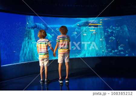 Family in aquarium. Kids watch fish, marine life 108385212