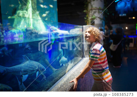 Family in aquarium. Kids watch fish, marine life Family in aquarium. Kids watch fish, marine life 108385273