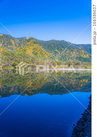 【秋素材】秋の上高地と大正池付近の風景【長野県】 【秋素材】秋の上高地と大正池付近の風景【長野県】 108386037