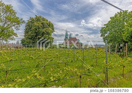 View of the famous cathedral in the Thuringian city of Erfurt during the day View of the famous cathedral in the Thuringian city of Erfurt during the day 108386780