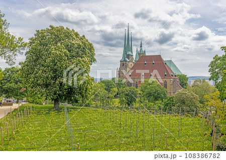 View of the famous cathedral in the Thuringian city of Erfurt during the day View of the famous cathedral in the Thuringian city of Erfurt during the day 108386782