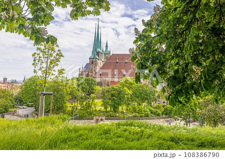 View of the famous cathedral in the Thuringian city of Erfurt during the day View of the famous cathedral in the Thuringian city of Erfurt during the day 108386790