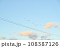 秋の柔らかい色合いの夕暮れ空と鳥の群れ 108387126