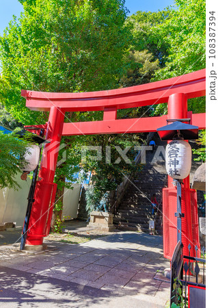 東京 港区 愛宕神社 出世の石段 東京 港区 愛宕神社 出世の石段 108387394