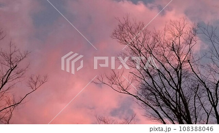ピンクの夕焼け ピンクの夕焼け 108388046
