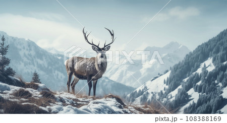 Noble deer in winter forest. Autumn scene with reindeer. Snowy winter christmas landscape Noble deer in winter forest. Autumn scene with reindeer. Snowy winter christmas landscape 108388169