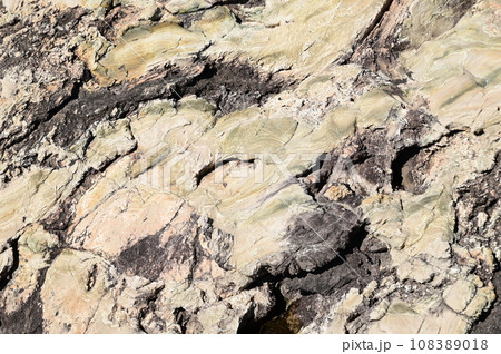 本州最東端の地トドヶ崎 108389018
