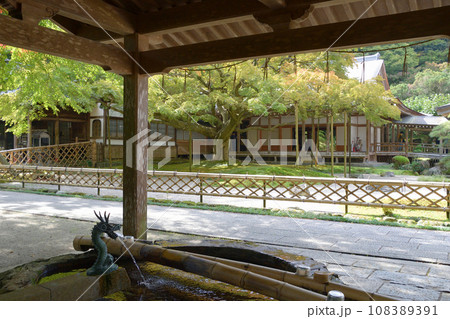 雷山千如寺大悲王院 雷山千如寺大悲王院 108389391