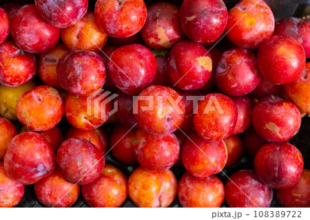 Pile of plums on counter in vegetable shop Pile of plums on counter in vegetable shop 108389722