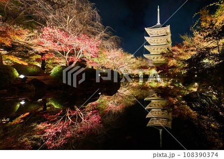 東寺紅葉 108390374