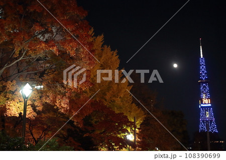 札幌市大通 秋の夜に四季の彩り深まる 札幌市大通 秋の夜に四季の彩り深まる 108390699
