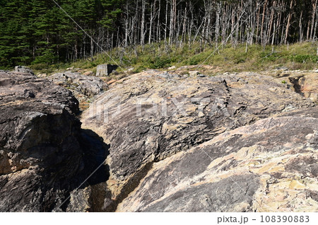 本州最東端の地トドヶ崎 本州最東端の地トドヶ崎 108390883