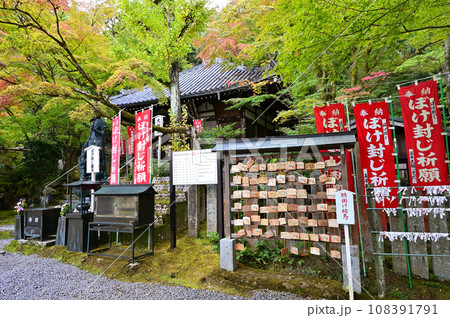 今熊野観音寺　早秋　京都市 108391791