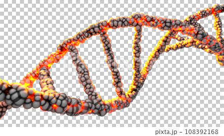 DNA double helix On the dark background abstract. can be used in education, science or cosmetics industry background. Conceptual design of Science and genetics information. DNA double helix On the dark background abstract. can be used in education, science or cosmetics industry background. Conceptual design of Science and genetics information. 108392168