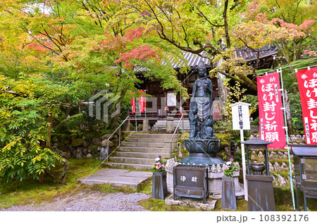 今熊野観音寺 早秋 京都市 今熊野観音寺 早秋 京都市 108392176