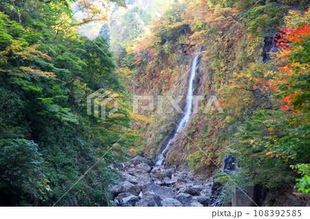 紅葉に囲まれた小安峡(秋田県湯沢市) 紅葉に囲まれた小安峡(秋田県湯沢市) 108392585