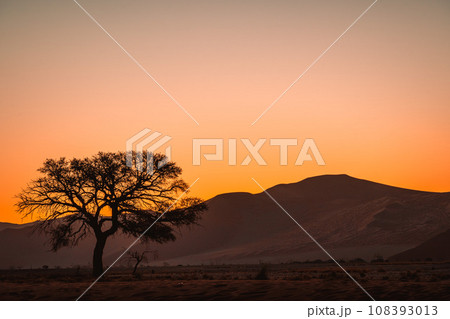 アフリカ南部ナミビアのナミブ砂漠のオレンジ色に輝く砂丘 108393013
