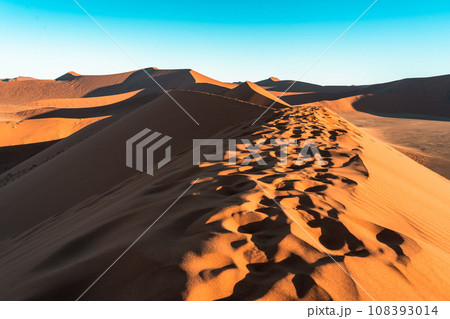 アフリカ南部ナミビアのナミブ砂漠のオレンジ色に輝く砂丘 108393014