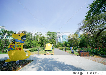 タイ・バンコクにあるベンジャキティ公園(ベンチャキティ公園)横にできたベンチャキティドッグパーク タイ・バンコクにあるベンジャキティ公園(ベンチャキティ公園)横にできたベンチャキティドッグパーク 108394232