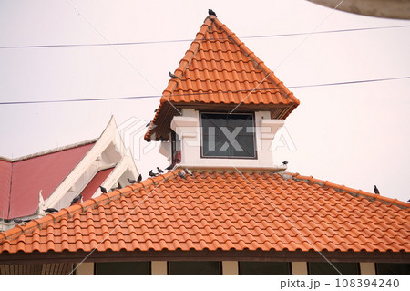 屋根の上に群がる鳩、ハト（Pigeons on Orange Roof） 108394240