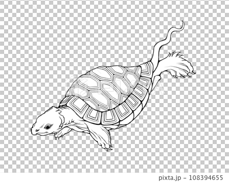 Line drawing illustration of a three-legged turtle that appears in the Shanhai Ching (Ancient Chinese geography book) Line drawing illustration of a three-legged turtle that appears in the Shanhai Ching (Ancient Chinese geography book) 108394655
