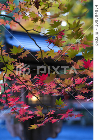 高野山　壇上伽藍　山王院 108394834
