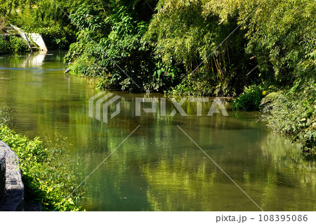 緑の中を流れる清流の風景 緑の中を流れる清流の風景 108395086