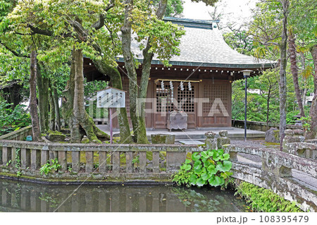 三嶋大社（三島） 108395479