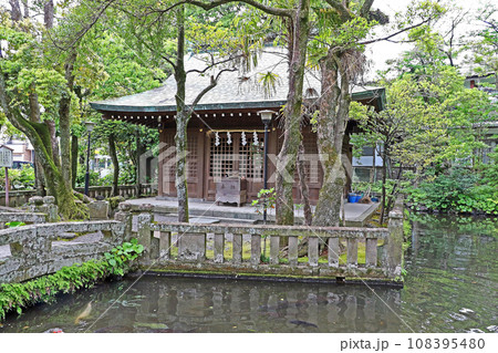 三嶋大社(三島) 三嶋大社(三島) 108395480