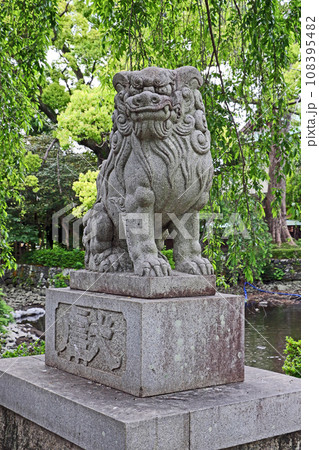 三嶋大社（三島） 108395482