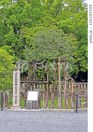 三嶋大社（三島） 108395488