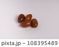 どんぐり 108395489