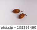殻斗がついたどんぐり 108395490