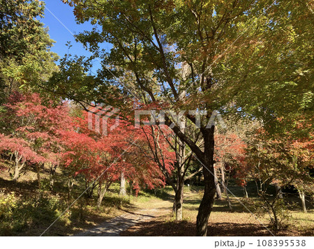 色鮮やかな山里の紅葉 108395538
