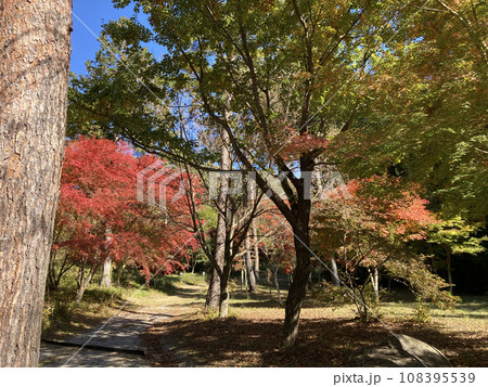 色鮮やかな山里の紅葉 108395539