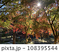 色鮮やかな山里の紅葉 108395544