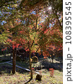 色鮮やかな山里の紅葉 108395545